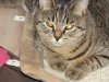 DSCN1598_новый размер.JPG