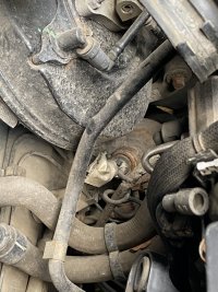 IMG_4616.JPG